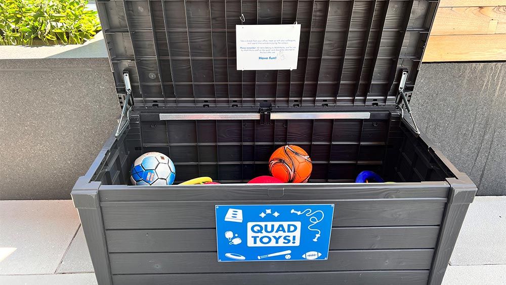 Outdoor storage box containing sporting equipment with the sign “Quad Toys!”