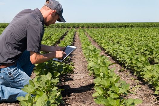 Precision agriculture reports turn aerial images and data into prescriptive actions for farmers.