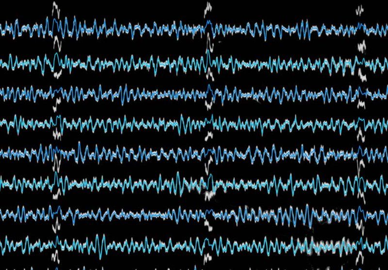 Figure 5. Results of digitization overlaid on original image. Note that the time marks have been successfully combined with the main trace to provide a continuous time series.