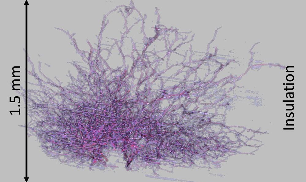 This 3 D Micro C T scan of an electrical tree developed in cable insulation is 1.5 millimeters high.