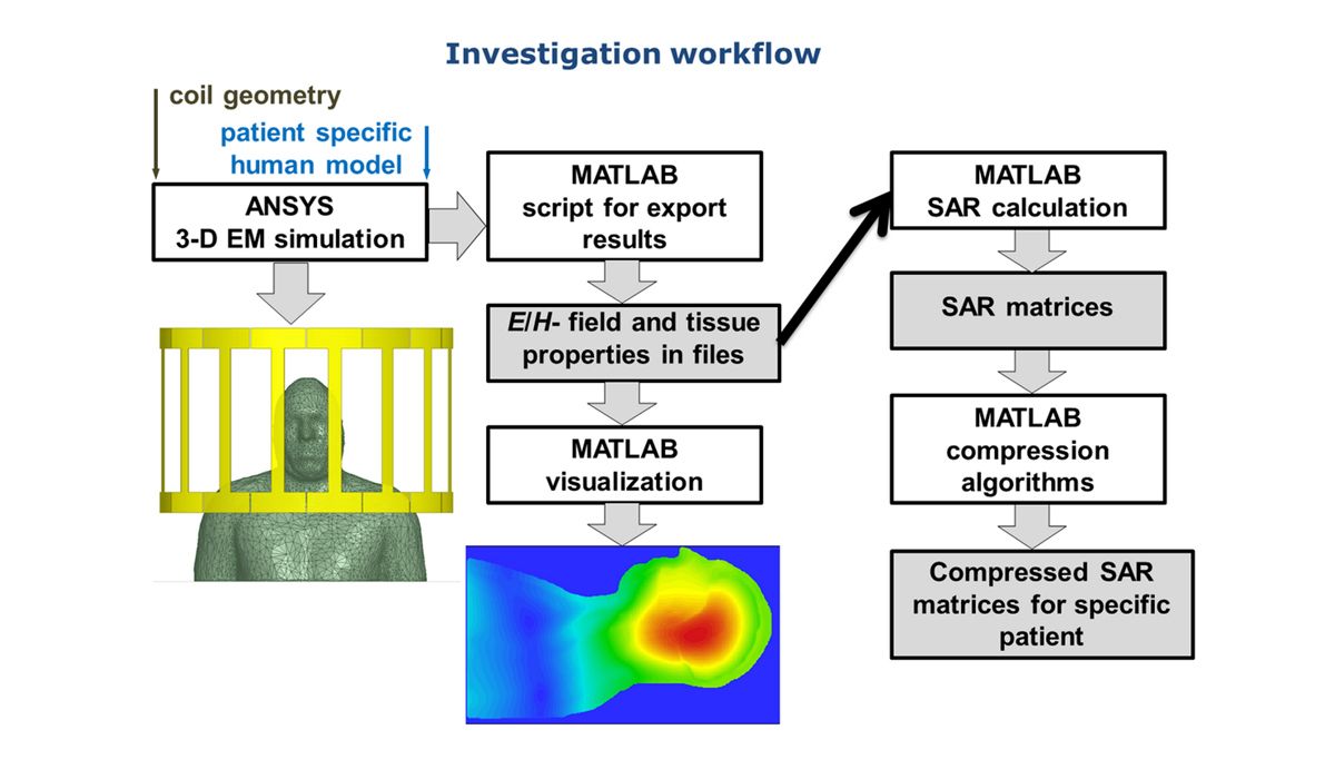 MATLAB 이용하여 가상 인간 모델을 사용하여 전자파 흡수율을 계산하는 워크플로.