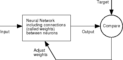 Neural network training workflow
