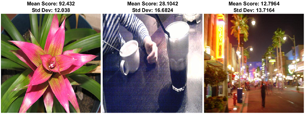 Three images of varying quality, with mean and standard devation of subjective quality scores