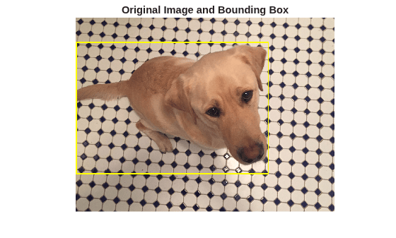 Figure contains an axes object. The hidden axes object with title Original Image and Bounding Box contains an object of type image.