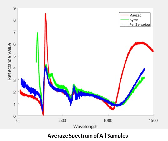 Average spectrum of grape berries for all samples.
