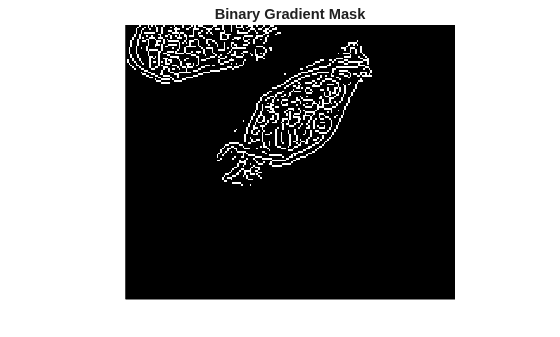 Figure contains an axes object. The hidden axes object with title Binary Gradient Mask contains an object of type image.