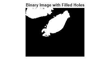 Figure contains an axes object. The axes object with title Binary Image with Filled Holes contains an object of type image.