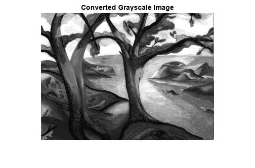 Figure contains an axes object. The axes object with title Converted Grayscale Image contains an object of type image.