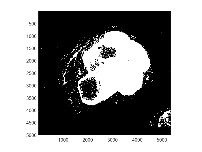 Figure contains an axes object. The axes object contains an object of type bigimageshow.