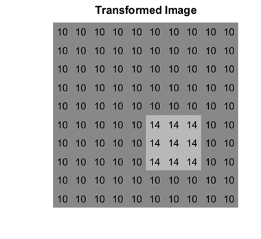 Grayscale representation of the transformed image.