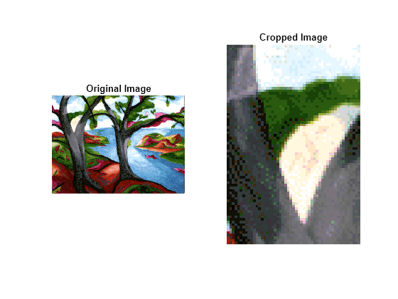 Figure contains 2 axes objects. Axes object 1 with title Original Image contains an object of type image. Axes object 2 with title Cropped Image contains an object of type image.