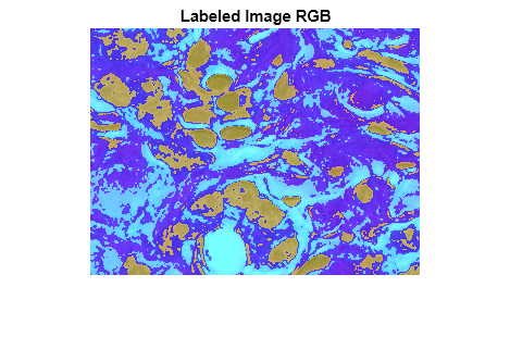 Figure contains an axes object. The axes object with title Labeled Image RGB contains an object of type image.