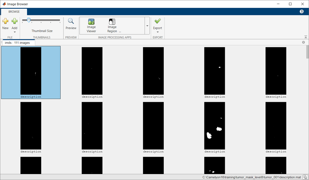 ImageBrowser_training_tumor_masks.png
