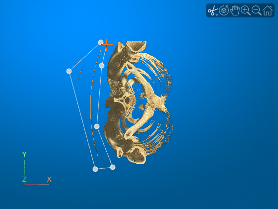 Viewer window showing drawn polygon around the region to remove