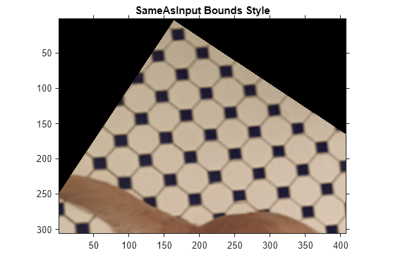 Figure contains an axes object. The axes object with title SameAsInput Bounds Style contains an object of type image.