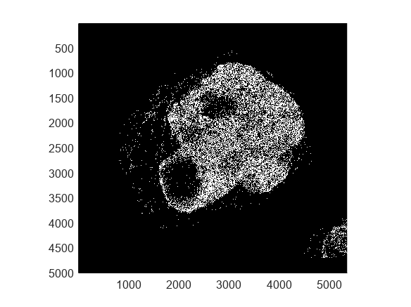 Figure contains an axes object. The axes object contains an object of type bigimageshow.