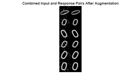 Figure contains an axes object. The hidden axes object with title Combined Input and Response Pairs After Augmentation contains an object of type image.