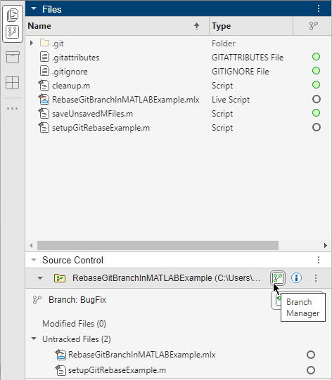 The Files and Source Control panels are grouped together.The mouse cursor points to the Branch Manager button in the Source Control panel.