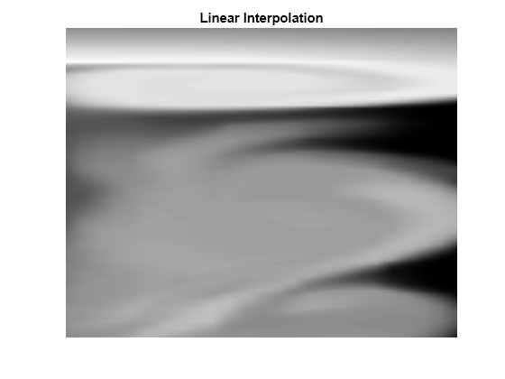 Figure contains an axes object. The axes object with title Linear Interpolation contains an object of type image.