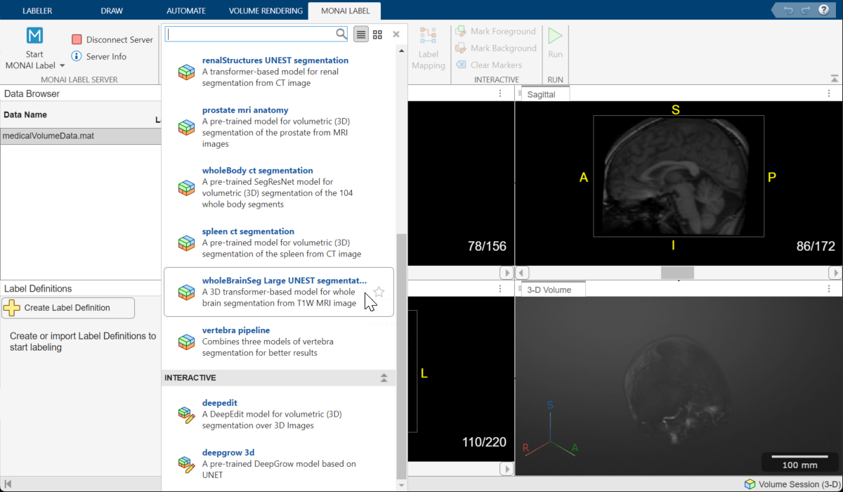 Medical Image Labeler app window, showing how to select the wholeBrainSeg Large UNEST segmentation model