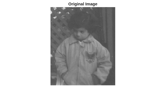 Figure contains an axes object. The hidden axes object with title Original Image contains an object of type image.