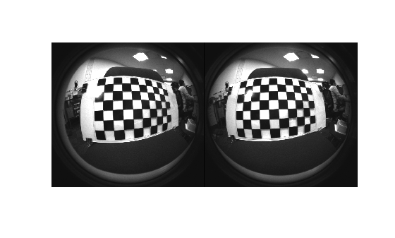 Stereo Fisheye Camera Calibration