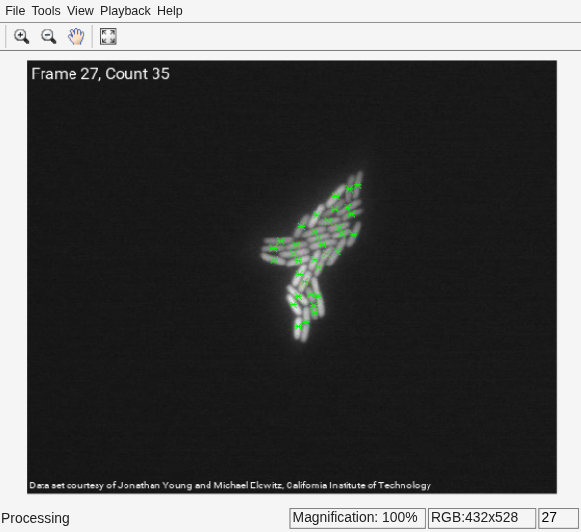 Cell Counting
