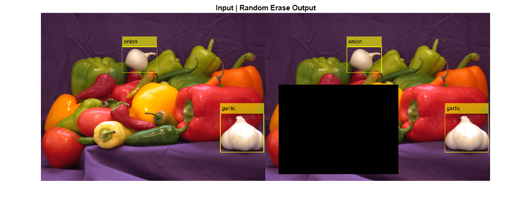 Figure contains an axes object. The hidden axes object with title Input | Random Erase Output contains an object of type image.