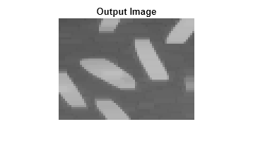 Figure contains an axes object. The hidden axes object with title Output Image contains an object of type image.