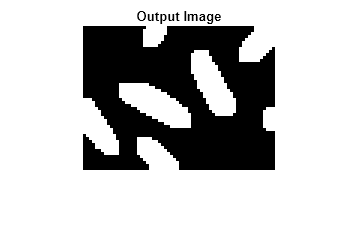 Figure contains an axes object. The hidden axes object with title Output Image contains an object of type image.