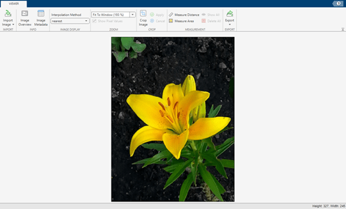 Image Viewer app displays a flower and offers tools for cropping and measuring distance on the app toolstrip.