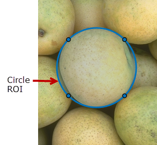 Blue Circle ROI drawn over a round object in an image.