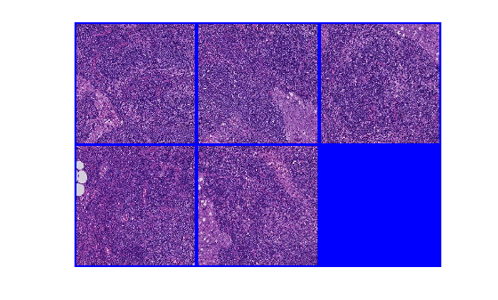 Figure contains an axes object. The hidden axes object contains an object of type image.