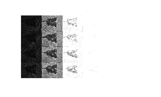 Figure contains an axes object. The hidden axes object contains an object of type image.