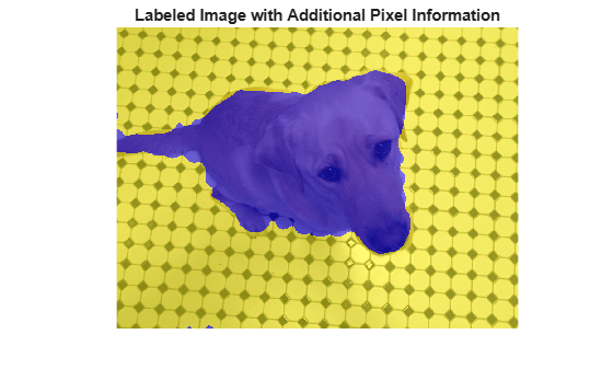 Figure contains an axes object. The hidden axes object with title Labeled Image with Additional Pixel Information contains an object of type image.