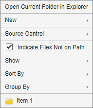Files panel context menu with a custom section at the bottom containing the custom item Item 1
