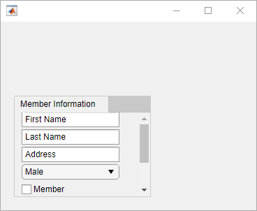 Tab group with one tab labeled "Member Information" in a UI figure window. Only the components at the top (the edit fields, drop-down list, and check box) are visible. The tab has a vertical scroll bar.