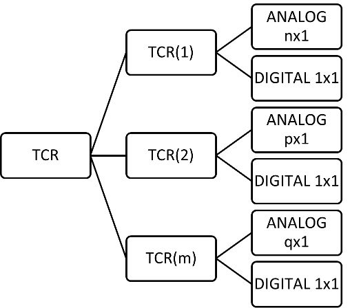 Structure of the TCR.