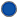 Circle filled in with blue color.