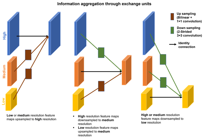 Exchange units aggregating multi resolution information in each stage of HRNet