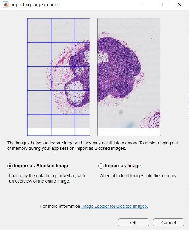 The Importing Large Images dialog box in the Image Labeler.