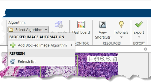 Select Blocked Image Automation in the Image Labeler.