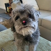 Maddie
