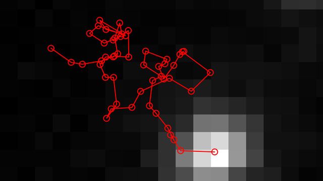 Accelerating Development of a New Single-Molecule Localization and Tracking Technique