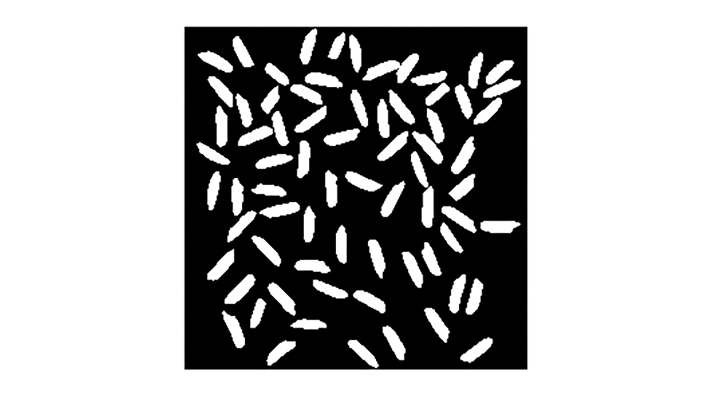 Grains of rice on a dark field.